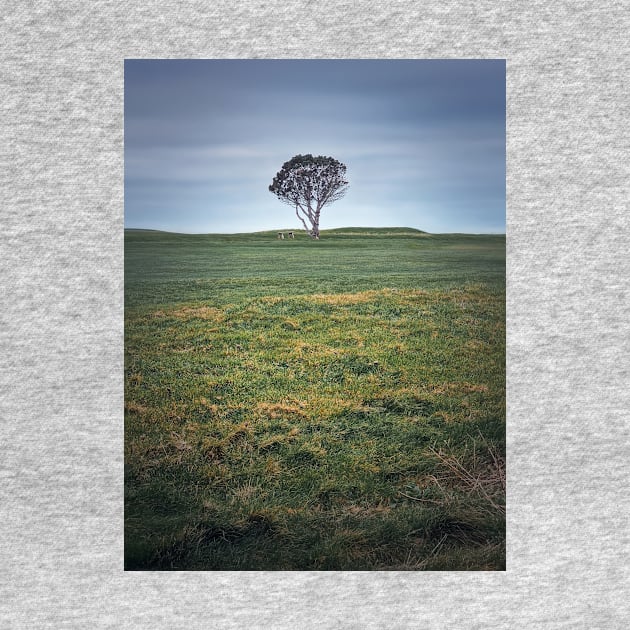 lone tree in the field by psychoshadow